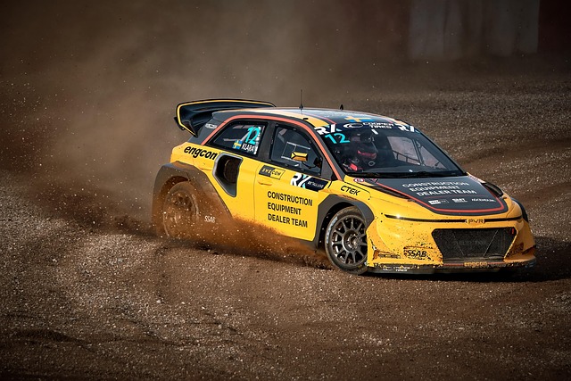 他们在比赛 他们在比赛